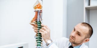 The Importance Of The Spine’s Curvature