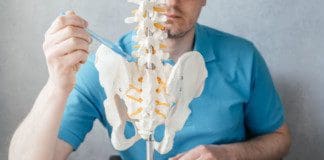 Sciatic Nerve Branches