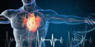 New Diagnosis Concepts For Cardiovascular Disease | Part 1