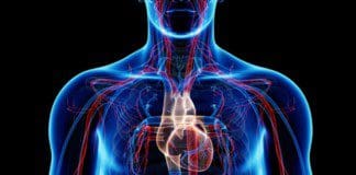 Treating Vascular Aging & CVD | Part 1