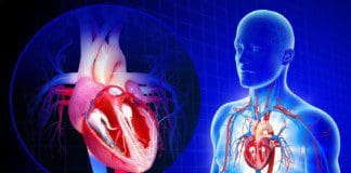 Preventing Cardiovascular Disease & Vascular Aging | Part 2