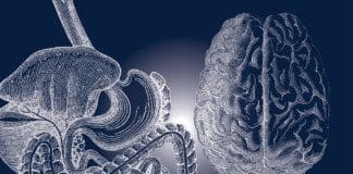 Factors That Can Affect The Brain | Part 2