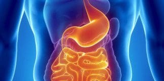 The Microbiome Role In Cardiovascular Disease | Part 1