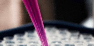 A Guided Look Into Regenerative Cellular Treatment | Part 1