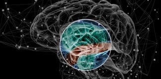 Treatments For Chronic Neuro-Metabolic Syndrome | Part 2