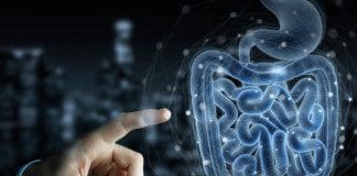 Autonomic Functions Of The Gut | Part 1