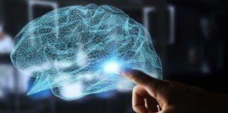 Microbial Involvement In Neurodegeneration | Part 1