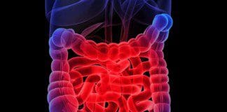 The Pathophysiology Of Inflammatory Bowel Disease | Part 1