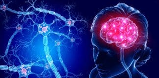 How To Detect Alzheimer’s In The Brain | Part 1