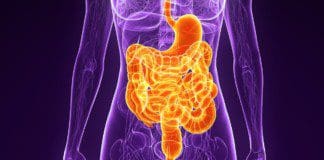 An Overview Of Beneficial Ways To Improve GI | Part 2