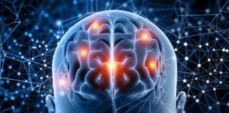 Functional Neurology and ALS | Part 2