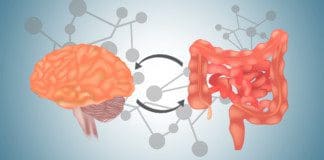 A Focused Look On The Gut-Brain Axis | Part 1