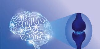 Neurological Uses for CBD