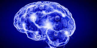 The Reversal of Cognitive Decline In the Brain