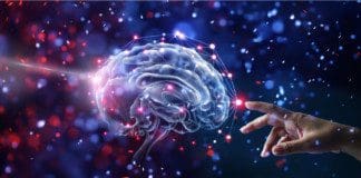 An Insight View On Functional Neurology | Part 1