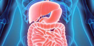 An Insightful Overview Of The GI | Part 1