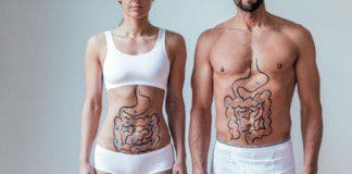 How Bile Acids Help Regulate The Gut | Part 1