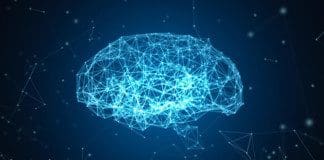 The Effects Of Neurological Disorders On The Brain | Part 1