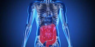 How Sterolbiome & Bile Reflux Affect The Gut | Part 2