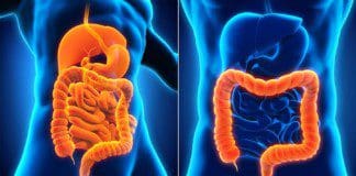 Therapeutic Ways To Treat Inflammatory Bowel Disease | Part 2
