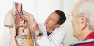 Viscerosomatic Reflex: Distressed Internal Organs Back Pain Sciatica