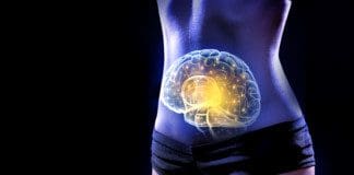 The Gut-Brain Axis Affected By Somatovisceral Pain