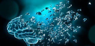 Combating Neurodegeneration In The Body