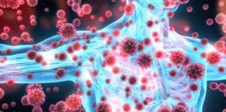 The Mechanics Of Toxic Metals In The Immune System