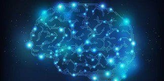 The Link Between Neuroinflammation & Neurodegenerative Diseases