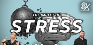 Dr. Alex Jimenez Presents: The Impact Of Stress