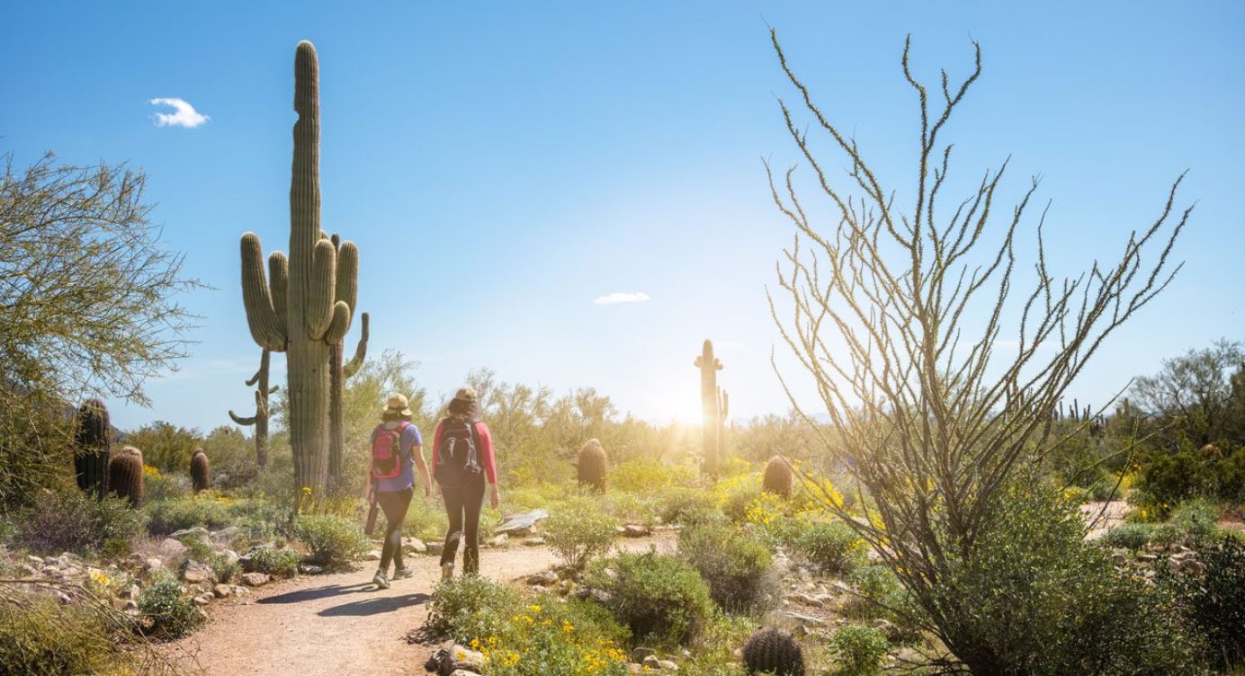 https://sciatica.clinic/wp-content/uploads/2023/08/hikers-on-a-scottsdale-arizona-desert-trail-2022-06-17-03-05-05-utc_02-1384x752.jpg