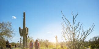 Hiking Training Tips and Preparation