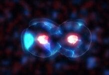 Regenerative Medicine: Exploring Regenerative Cell Therapy