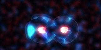 Regenerative Medicine: Exploring Regenerative Cell Therapy