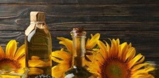 A Healthy Snack Option – Sunflower Seeds Explained