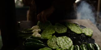 Discover the Power of Nopal: A Superfood for Optimal Health