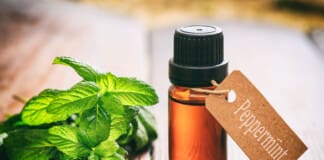 The Medicinal Properties of Peppermint: A Comprehensive Guide