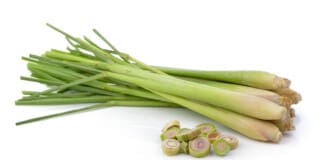 Discover the Amazing Health Benefits of Lemongrass