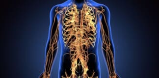Exploring the Causes and Treatment of Nerve Injuries