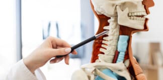 Musculoskeletal Ligaments: What to Know After a Car Accident