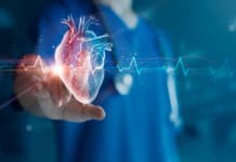 Chiropractic Care: Skeletal & Heart Health Guide for Everyone