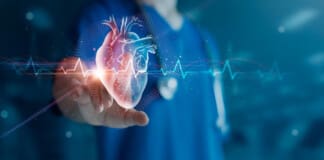 Chiropractic Care: Skeletal & Heart Health Guide for Everyone