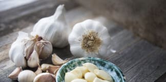 Research Insights on Garlic & Its Anti-Inflammatory Effects on Musculoskeletal Pain
