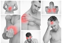 Musculoskeletal Health Explained for Regeneration & Recovery