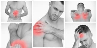 Musculoskeletal Health Explained for Regeneration & Recovery