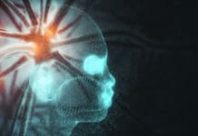 Integrative Therapies in Action for Cognitive Decline