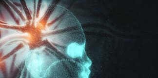 Integrative Therapies in Action for Cognitive Decline